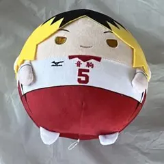 2025年最新】ハイキュー ふわコロりんの人気アイテム - メルカリ