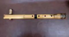 Item thumbnail for item 8b13b1d6-3858-4a58-a78b-6dedd44acd35