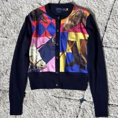 【希少✨】ポロラルフローレン　カーディガン　ウール　シルク　切替　マルチカラー