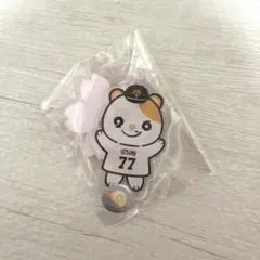 ジャイアンツ　巨人　内海哲也 テツ⭐︎スター パペット　アクリルスタンド　ガチャ