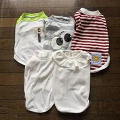犬服セット