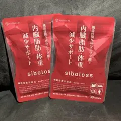 Item thumbnail for item 8aff6ab1-d8d8-4eb8-aadf-db53927c01c1