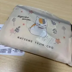 Item thumbnail for item ae8eb057-81ae-4491-9b00-80a28ebec6bc