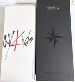 2026年最新】straykids ペンライト ver.1の人気アイテム - メルカリ