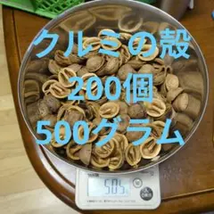 くるみの殻500g約200個　鬼胡桃 園芸用品マルチング用 天然無農薬のサムネイル