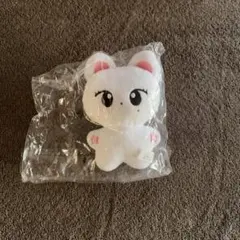 boys planet ALD1 サンウォン 10cm ぬいぐるみ - メルカリ