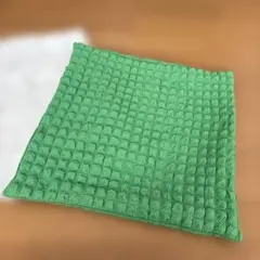 Francfranc グリーン クッションカバー