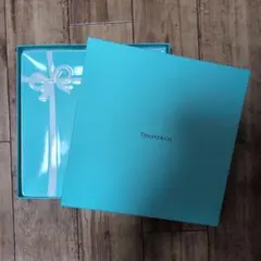 Tiffany & Co. ブルーボックス プレートのサムネイル