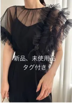 【新品タグ付き】LAGUNAMOON LADYチュールドッキングコンビネゾンS