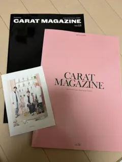 SEVENTEEN CARAT MAGAZINE vol.13 & 14
