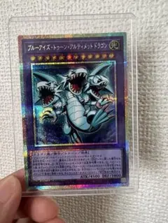 遊戯王 ブルーアイズ・トゥーン・アルティメットドラゴン 2枚セット