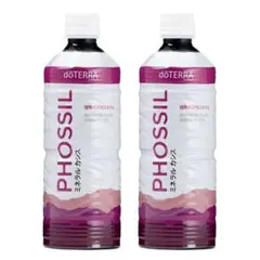 Item thumbnail for item 3bc08920-70f0-4aa0-aebc-0323fa7cc15d