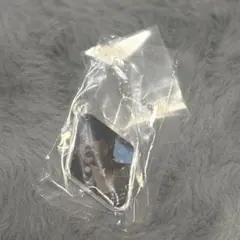 &TEAM ガチャガチャ　アクリルチャーム　EJ ウィジュ