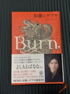 Burn 加藤シゲアキ著