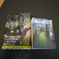 JunJun様専用　小説セット売り