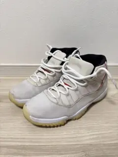 ナイキ　エアジョーダン11 プラチナム　ティント　29cm