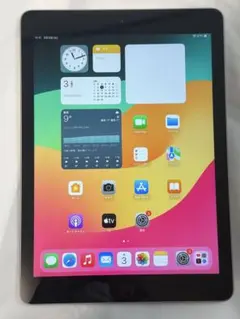 iPad (第6世代) 128GB スペースグレイ WiFiモデル