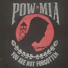 【雰囲気抜群】Hanes POW-MIA ミリタリーTシャツ XL 黒 フェード