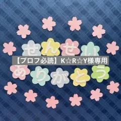 【プロフ必読】K☆R☆Y様専用 せんせいありがとう