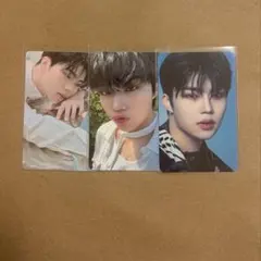 zb1 ゼベワン ゴヌク トレカ