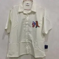 Item thumbnail for item 8d7352d3-6e0c-45b1-9e2a-6ec4cc971a84