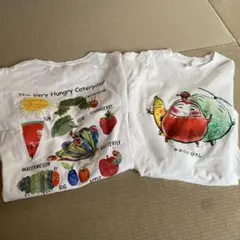 はらぺこあおむし、だるまさん長袖