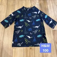 【H&M】恐竜柄 ネイビー長袖 ラッシュガード 水着 95 100