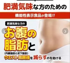 オーガランド　サプリ　お腹の脂肪とヘルンダ 1日2粒（一ヶ月分）のサムネイル