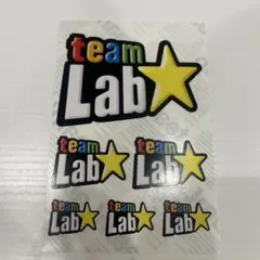【ステッカー】 チームラボ　team lab ステッカー 非売品 職員限定