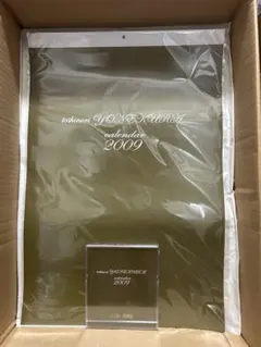 【未開封】米倉利紀2009年ポスターカレンダー☆CDサイズカレンダー２点セット☆