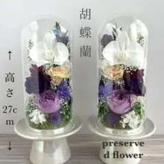 Item thumbnail for item ff019218-b351-48d8-88a2-146aa472a823