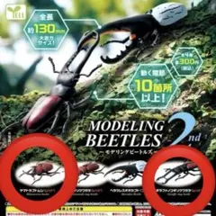 モデリング ビートルズ2 ヤマトカブトムシ ギラファノコギリクワガタ レッドのサムネイル