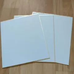 金縁 色紙 3枚セット 無地