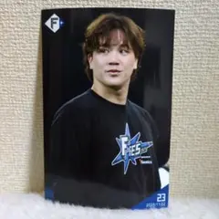 北海道日本ハムファイターズ　ハイライトフォト　F FES2025　伏見寅威