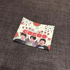 cacao ラフフェス　ステッカー