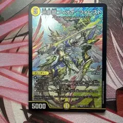 デュエルマスターズ 刀剣猫のワフソン & 光夢龍フィオナ・フォレスト2