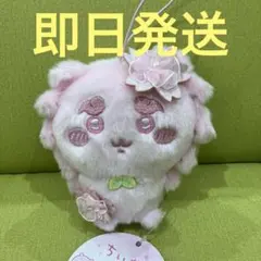 ちいかわ ぬいぱれっと さくらいろ マスコット シーサー 0305