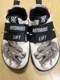 Item thumbnail for item e96bf816-6d3a-42f8-a83e-311e012d950f