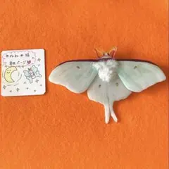 ✴︎ねね✴︎さま専用ページ♡