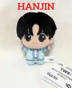 10cm TWS トゥアス ハンジン HANJIN ぬいぐるみ本体① - メルカリ