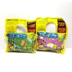 ポケモン 2022年 ペットボトルカバー 和柄 伊藤園 ノベルティ 2個セット