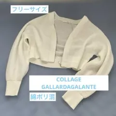 COLLAGE GALLARDAGALANTE