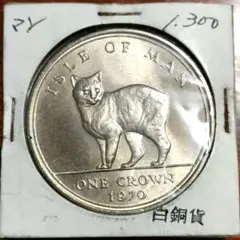 2026年最新】マン島白銅貨の人気アイテム - メルカリ