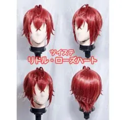 2026年最新】ツイステ リドル ウィッグの人気アイテム - メルカリ