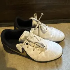 Item thumbnail for item 0fd16940-36c2-4ad8-8d17-18cf42176853