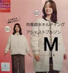 Item thumbnail for item 04c855be-01d7-4fd4-9753-25fc3b413da7