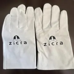 Item thumbnail for item 0aa89619-10bc-42ee-a8a6-3a1cd4342514