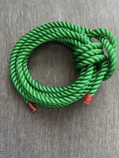 Item thumbnail for item 8a8693da-c363-4eb5-8091-625f4e131345