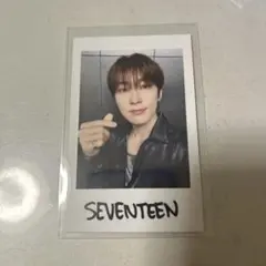 SEVENTEEN RIGHT HERE インスタントフォト ウォヌ