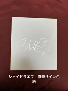 RIZIN ラジャブアリ・シェイドゥラエフ　直筆サイン色紙　銀ペンver